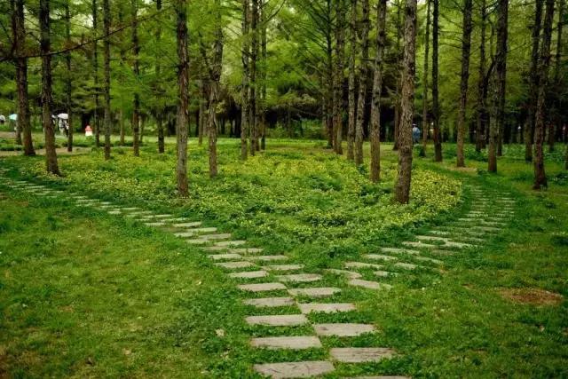 和龙夏天避暑的地方,龙州县避暑胜地