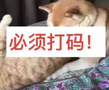 别跟我谈什么梦想我只想躺赢,别跟我谈什么梦想