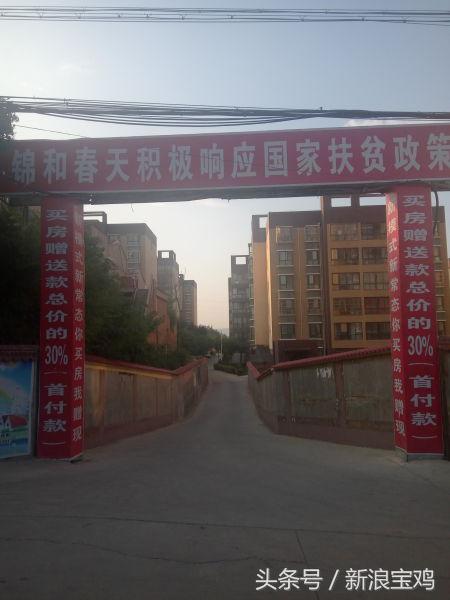 锦和春天,锦和春天到底好不好