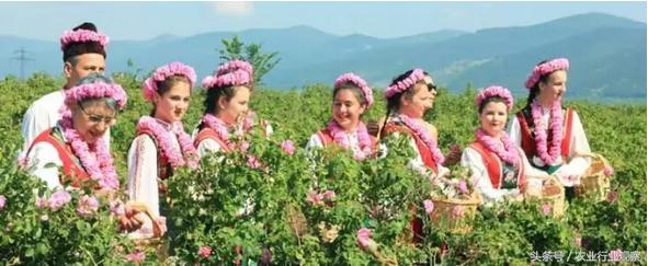 鍊熼浮鐢熻泲鐢熸剰鎬濈淮,鍊熼浮鐢熻泲鎬濈淮