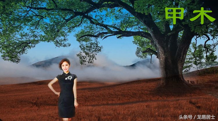 命理简批-农历1986年12月06日亥时坤造（四川阿坝理县）