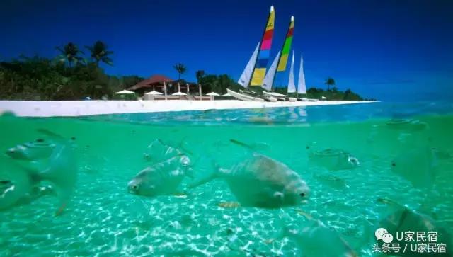 安缦到底有多么奢华,如何住安缦比较划算