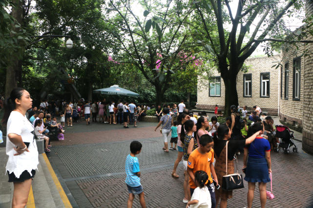 成都动物园看各种动物,成都动物园周末打卡景点