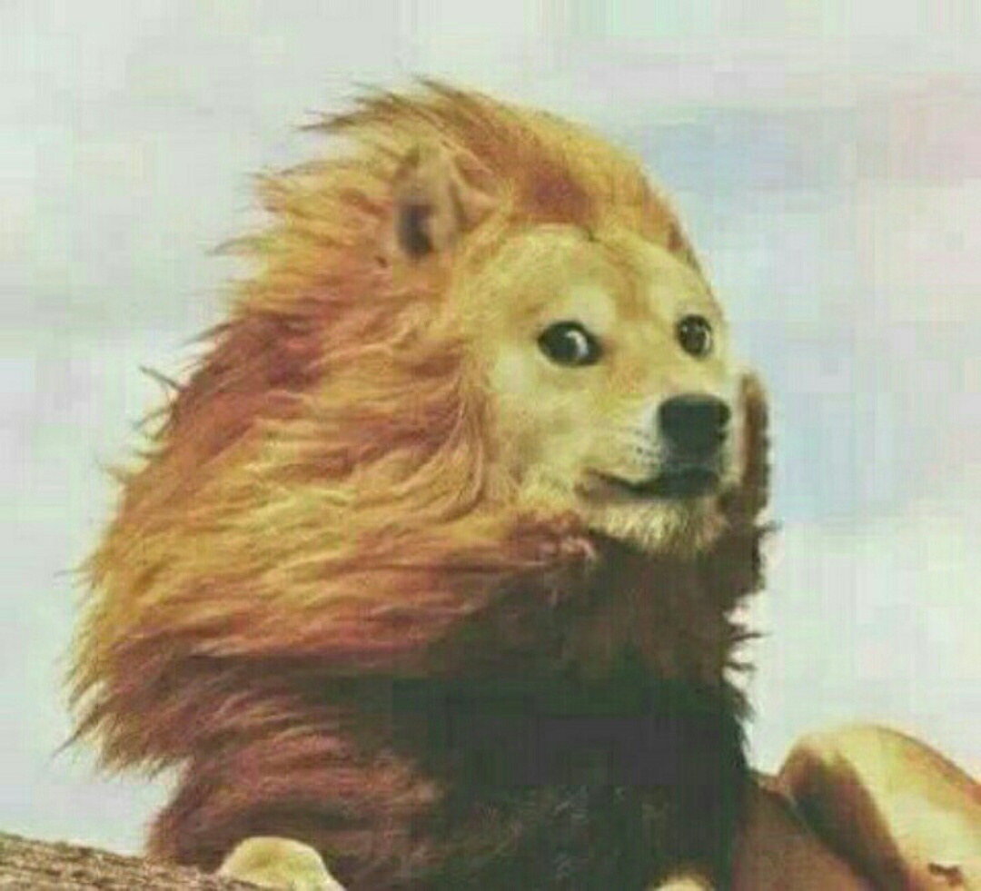 你的外号小名叫什么,搞笑的小名绰号