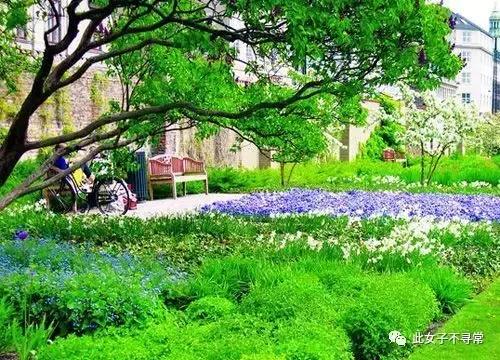 跟着《极速前进》游全球——哥本哈根站