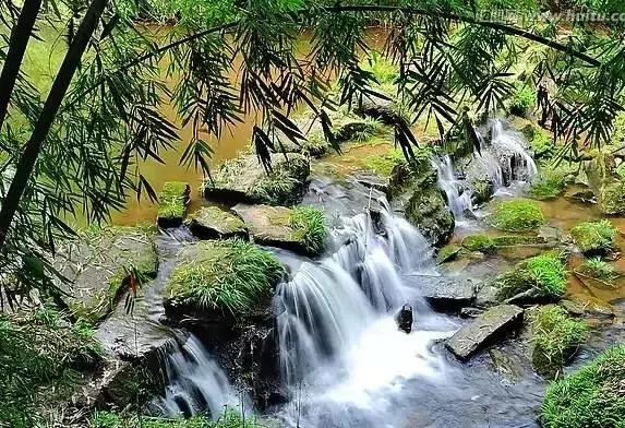 四川长宁竹海与赤水竹海,竹海风景区沐川