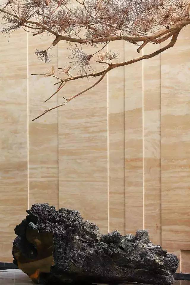 花园小别墅怎么建造,手把手教你打造花园