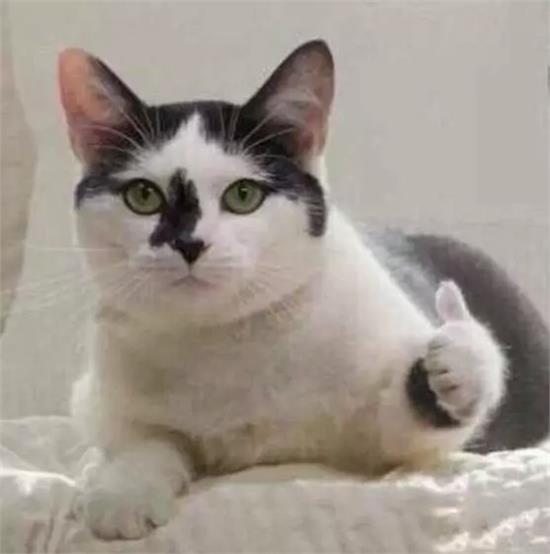 车里抽烟烟味多久能散,开车抽烟不掉烟灰