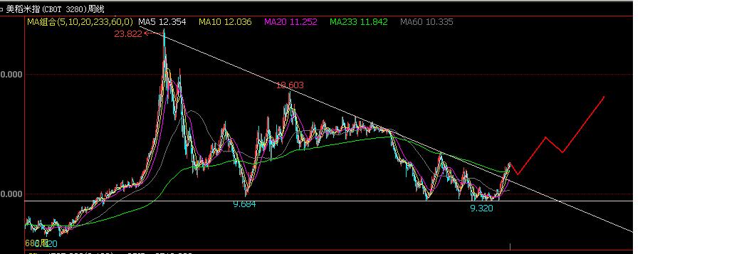 农产品现货盘面分析技巧,外盘农产品暴涨