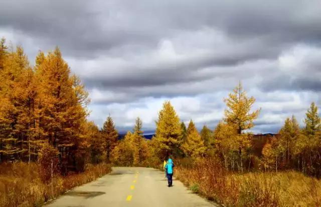 川西最美秋景,四川最美秋景