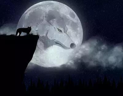 做好9点带出狼性团队,校长打造狼性团队