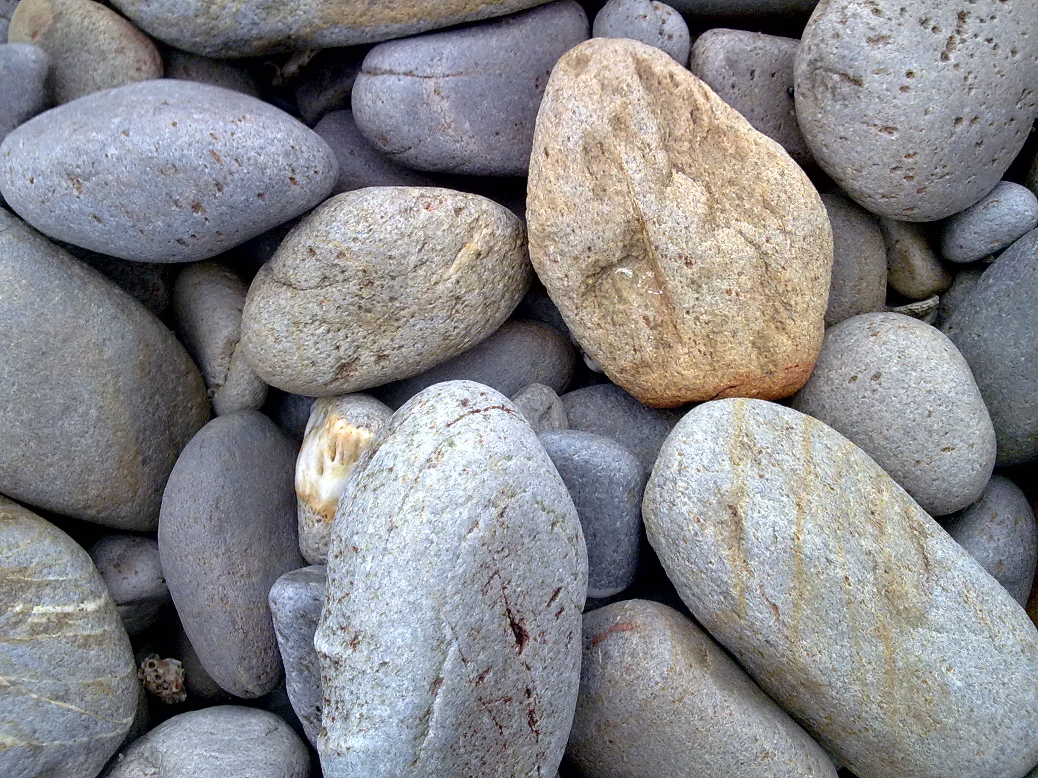 9年前诺基亚,诺基亚n78手机性能