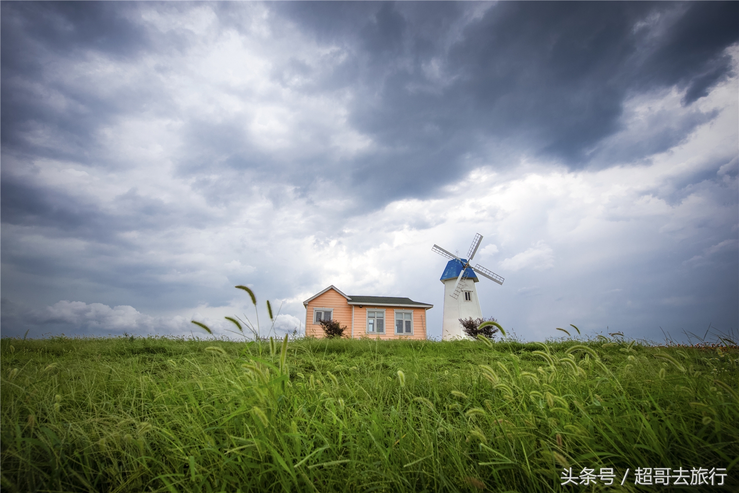 日照花仙子风景区团购,日照花仙子风景区为什么拆了