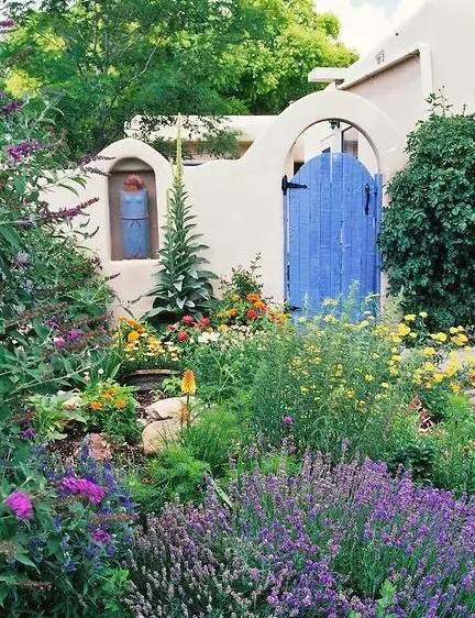 治愈系园艺图片大全,治愈系养的植物