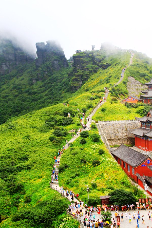 天天有人去山上采蘑菇,每天来观看的游客上万人