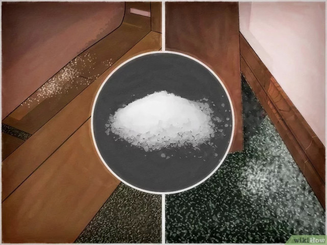 如何清除床虱,广东床虱怎么清除