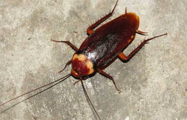 十个科普小知识,100个必学的科普知识