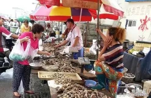 烟台哪里的海鲜便宜又新鲜,山东烟台一年四季的时令海鲜表