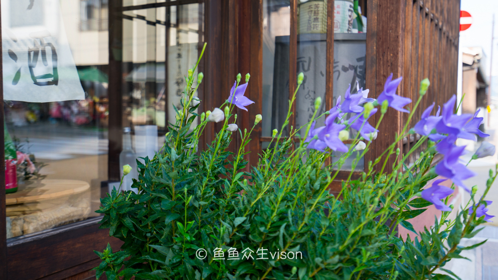 日本东京大阪最值得去的地方,日本大阪深度游攻略