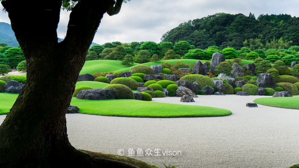 日本东京大阪最值得去的地方,日本大阪深度游攻略