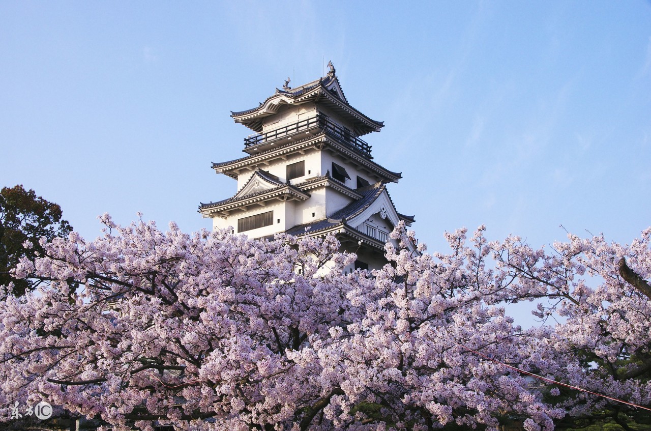 去日本旅游必买什么比较好,去日本旅游可以买什么特色物品