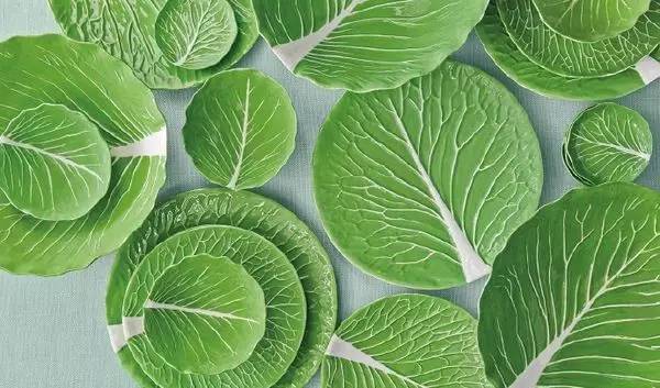 食欲好、拍照好……这么貌美的植物餐盘，我想不出拒绝理由