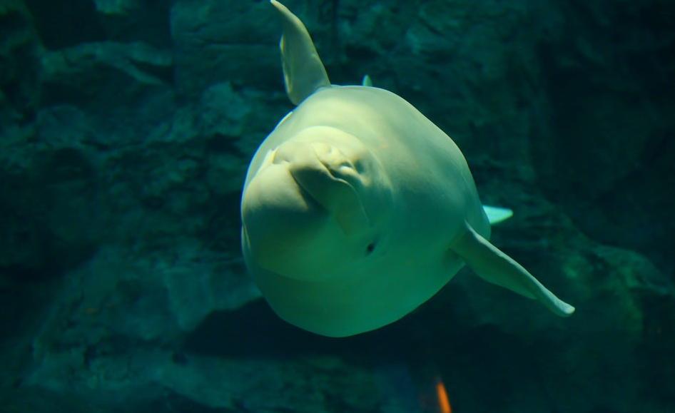 十月一出游去哪里好玩,国庆节8天长假哪里旅游好玩