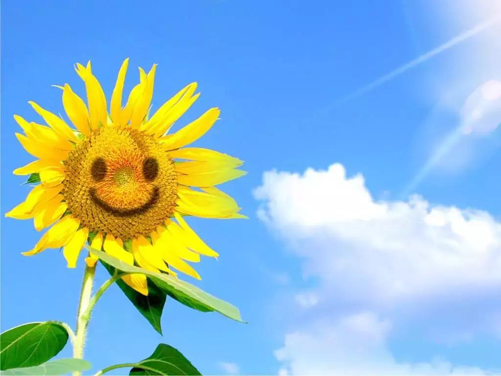 卵巢癌复发怎么治疗,卵巢癌转移脾一般剩下多长时间