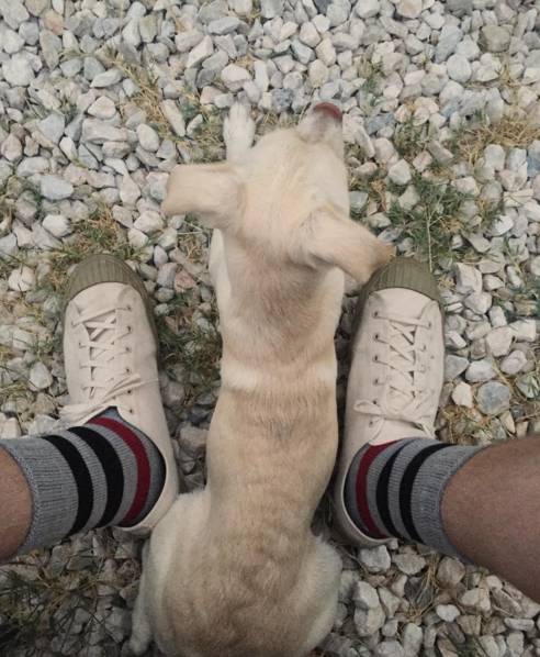 帆布鞋也能穿出女王风范,帆布鞋也能穿出高级感