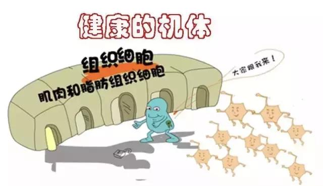 饮食拯救生命—连载之六——糖尿病（上）