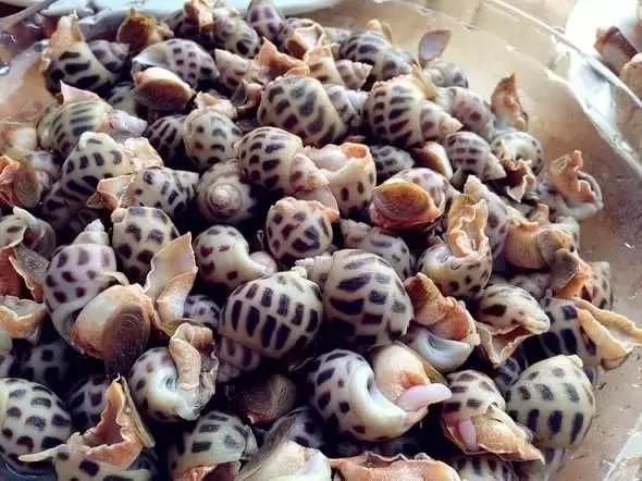 又到吃海蛎子的季节,又到了吃海鲜的季节生蚝