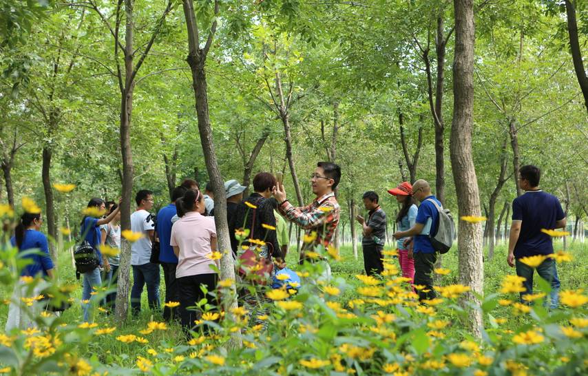 江苏包地200亩一年能赚多少钱,农村创业包地5000亩一年赚多少钱