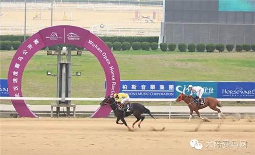 武汉赛马比赛时间表,2017全国速度赛马公开赛直播