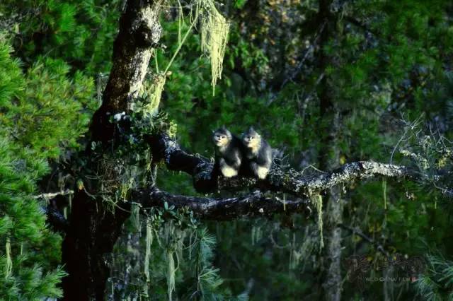 奚志农带队-10天9晚不丹之旅,4月24日出发