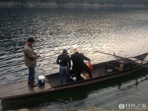 探钓野生鱼视频,探钓野生水库