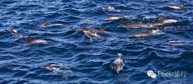 这个与马尔代夫隔海相望的火山岛国，免签人少，还可以玩遍海陆空