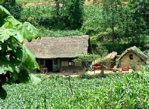 过故人庄孟浩然古诗赏析及意思,孟浩然过故人庄赏析视频