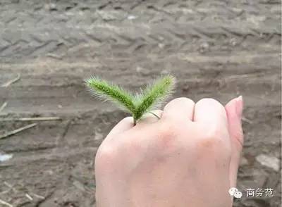 如何在朋友圈秀恩爱还不招人烦,在朋友圈如何秀恩爱不反感