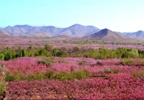 保定你竟然这么花!我真是看错你了!