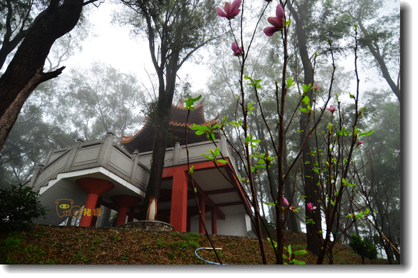 十二道锋味谢霆锋潮汕牛肉,十二道锋味隆苑咖啡谢霆锋