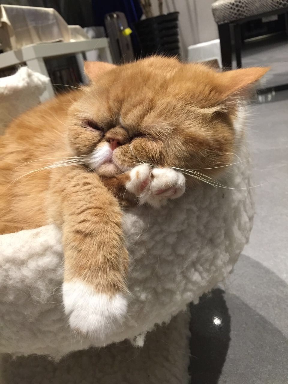 专家讲解明星微整形 (明星教你微整形)