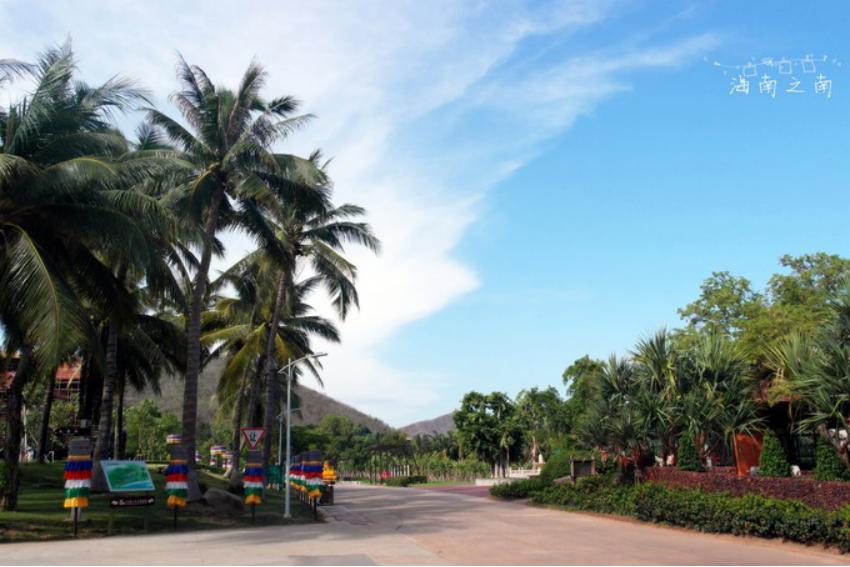 穿过云海后的美景,穿过云海看美景