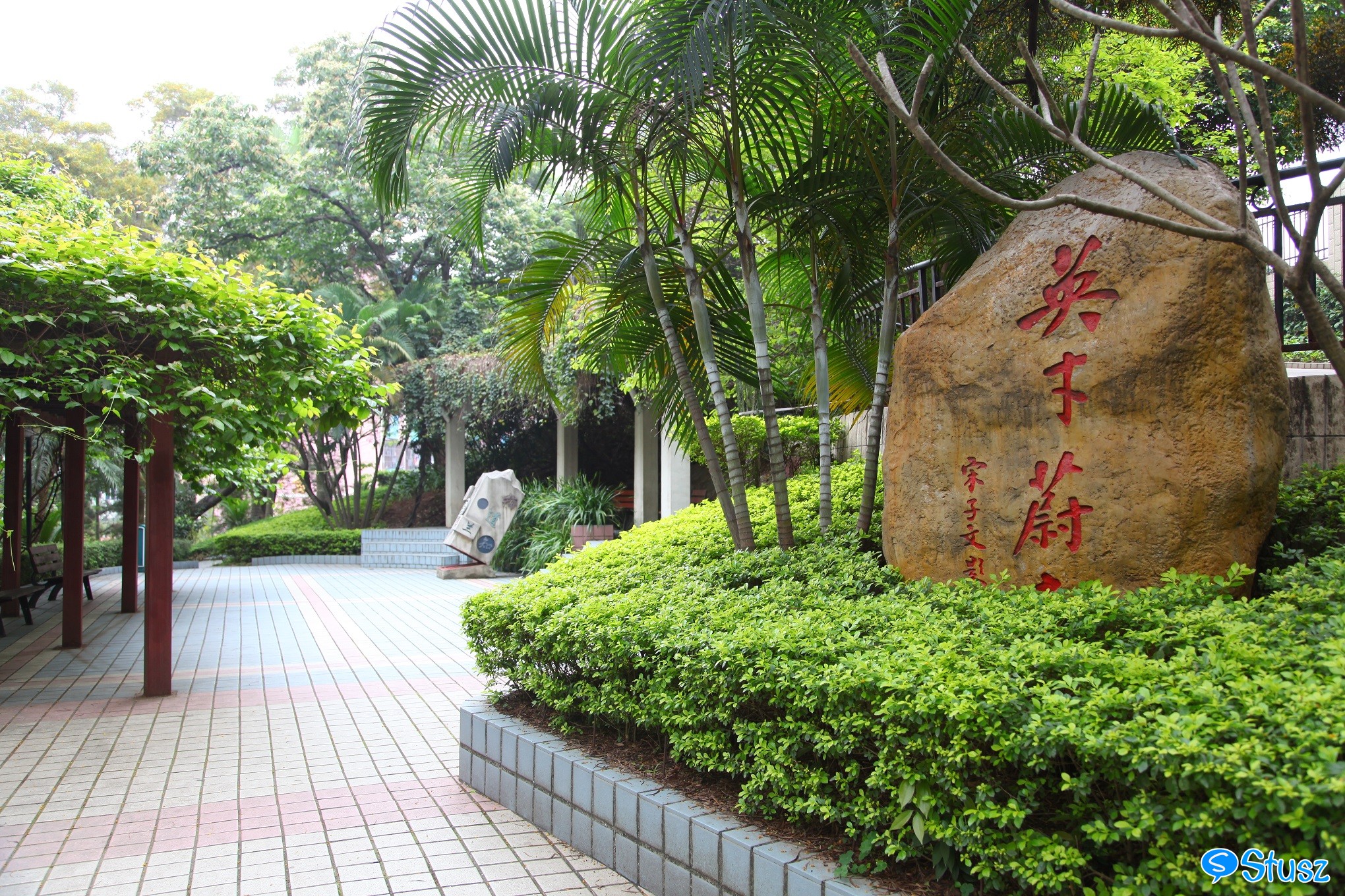 Stusz独家：观澜中学，现代化的百年老校