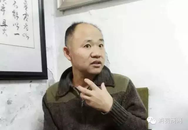 把牡丹种成树,牡丹种在树底下