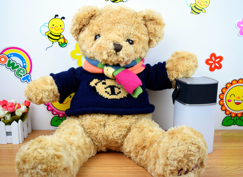 呆萌小熊蓝色,呆萌小熊所有视频