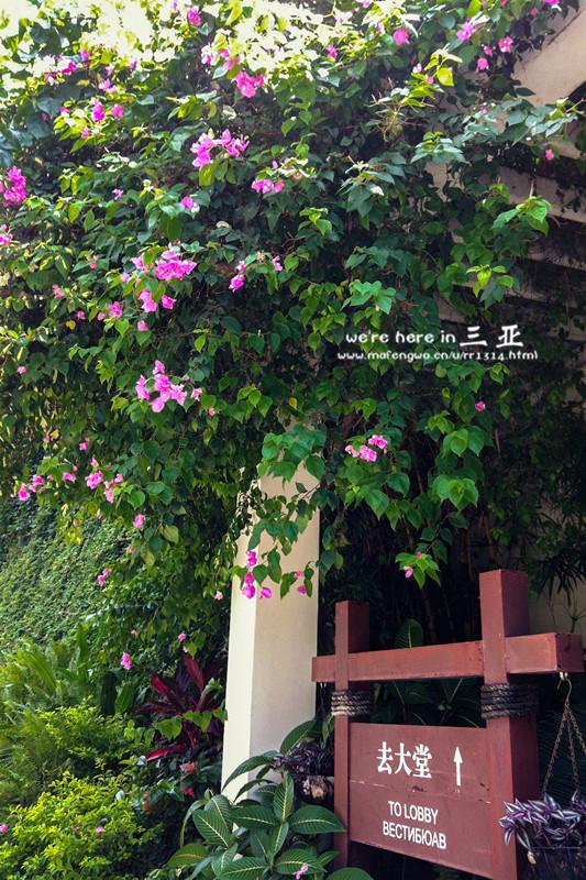 三亚五天四晚旅行团爱上海岛,三亚3天两晚够不够