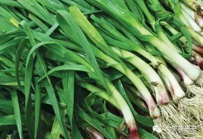 六安最新“野菜宝典”7种野菜，13种时令蔬菜，你都认识吗？
