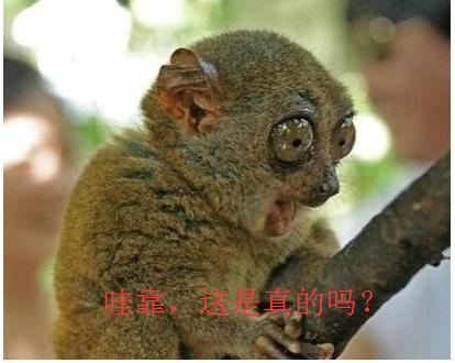 蒋介石每当照镜子的时候，都会咬牙恨一个外国人，而且恨了一辈子