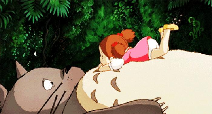 吉卜力正版龙猫,吉卜力龙猫宠物馆网店