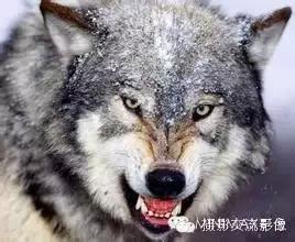 拍照怎么笑得好看又自然不露牙,拍照时如何笑得更好看更自然